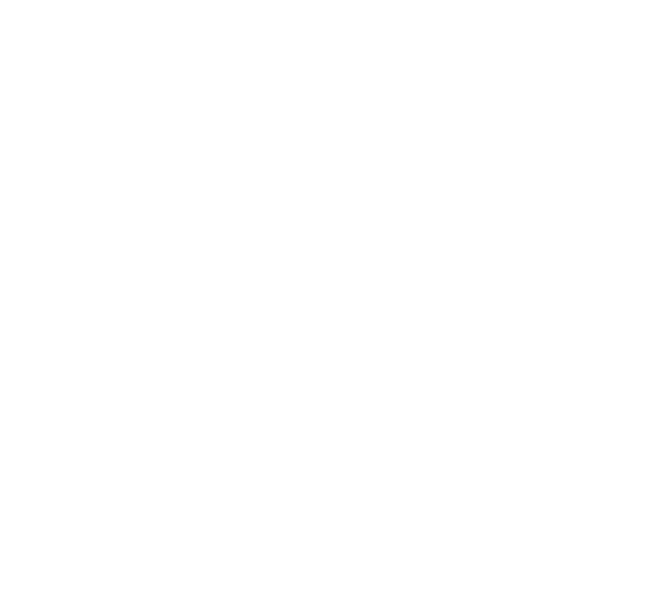 Nikoliers